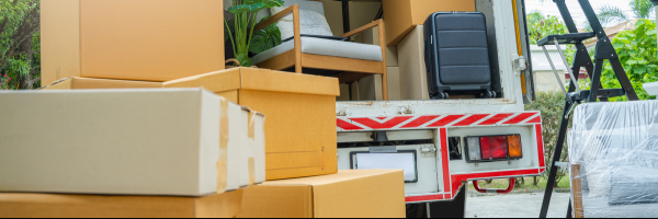 Moving Day Lorry and removal boxes